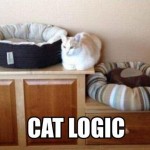 cat logic  between beds